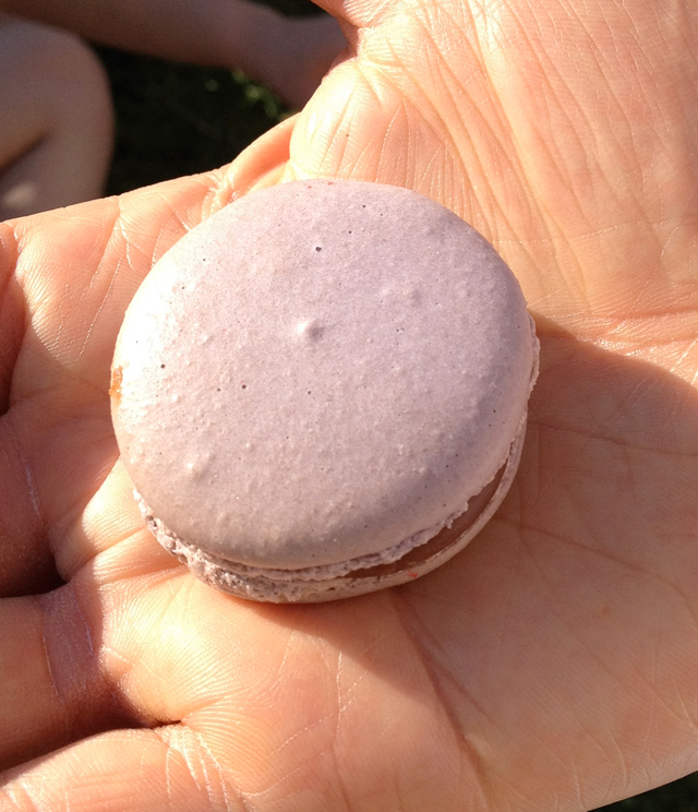 blackberry macaroon